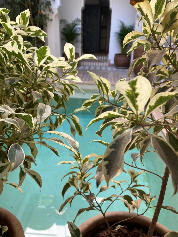 Riad Magellan Yoga And Spa 마라케시 외부 사진