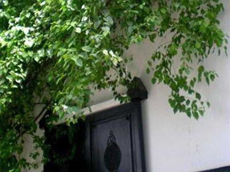 Riad Magellan Yoga And Spa 마라케시 외부 사진